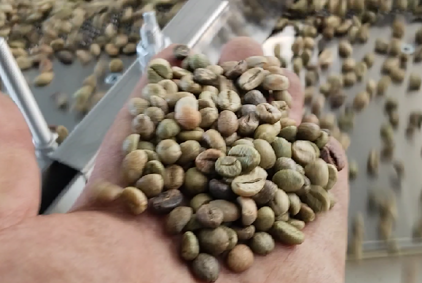 coffee beans cleaner